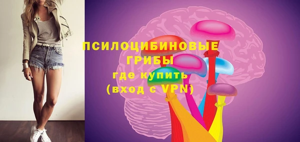 винт Алексеевка