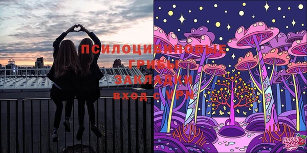 винт Алексеевка